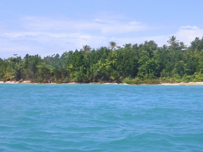 Stunning 54 Hectars Of Prestine Land In The Caribbean - image 1