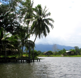 Stunning 54 Hectars Of Prestine Land In The Caribbean - image 12