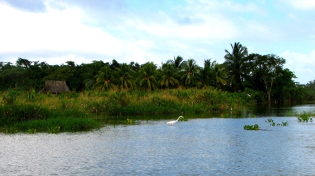 Stunning 54 Hectars Of Prestine Land In The Caribbean - image 11