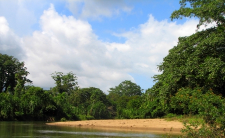 Stunning 54 Hectars Of Prestine Land In The Caribbean - image 16