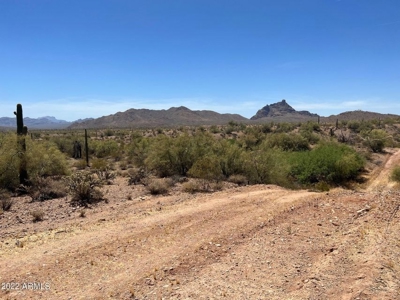 Fountain Hills Az Custom Unfinished Home Online Auction - image 48