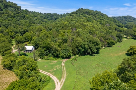 3 Country Homes/Farm Lot/Putnam Co. TN/For Sale - image 10