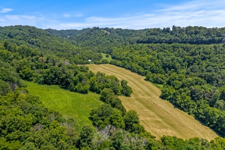 3 Country Homes/Farm Lot/Putnam Co. TN/For Sale - image 5