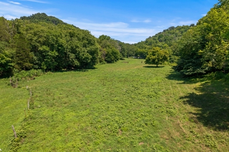 3 Country Homes/Farm Lot/Putnam Co. TN/For Sale - image 18