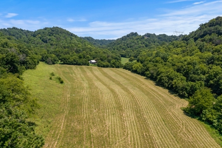 3 Country Homes/Farm Lot/Putnam Co. TN/For Sale - image 7