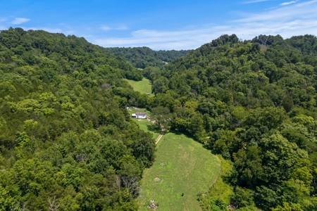3 Country Homes/Farm Lot/Putnam Co. TN/For Sale - image 11