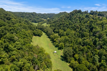 3 Country Homes/Farm Lot/Putnam Co. TN/For Sale - image 12