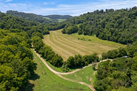 3 Country Homes/Farm Lot/Putnam Co. TN/For Sale - image 17
