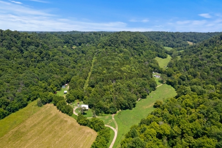 3 Country Homes/Farm Lot/Putnam Co. TN/For Sale - image 2