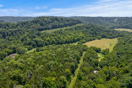 3 Country Homes/Farm Lot/Putnam Co. TN/For Sale - image 8