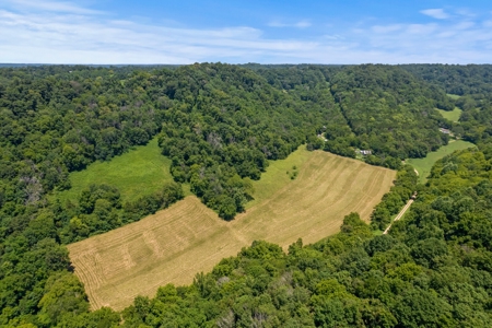 3 Country Homes/Farm Lot/Putnam Co. TN/For Sale - image 3