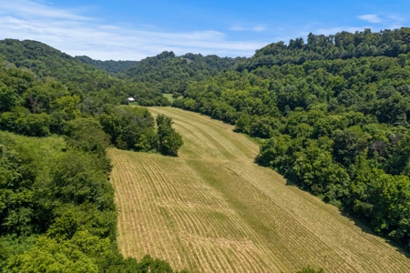 3 Country Homes/Farm Lot/Putnam Co. TN/For Sale - image 6