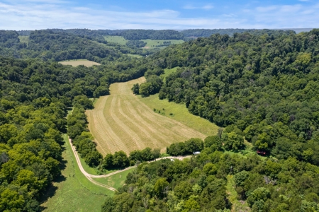 3 Country Homes/Farm Lot/Putnam Co. TN/For Sale - image 9