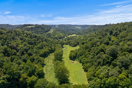 3 Country Homes/Farm Lot/Putnam Co. TN/For Sale - image 13