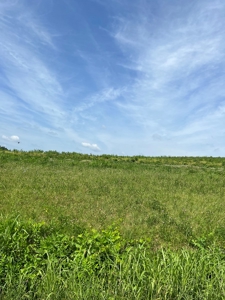 Perfect Home Site in Hawkins Co., TN For Sale - image 2