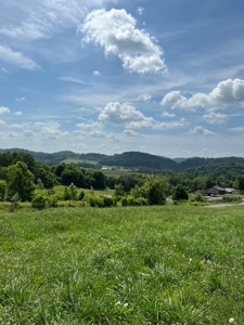 Perfect Home Site in Hawkins Co., TN For Sale - image 4