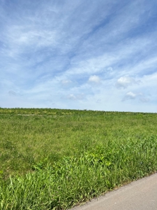 Perfect Home Site in Hawkins Co., TN For Sale - image 3
