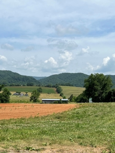 Perfect Home Site in Hawkins Co., TN For Sale - image 6