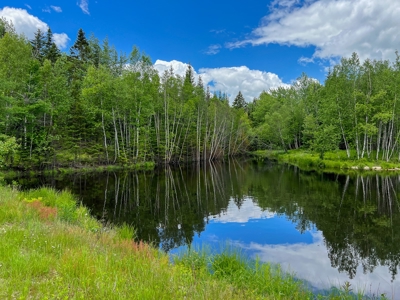 Coastal Home For Sale | Maine Real Estate - image 12