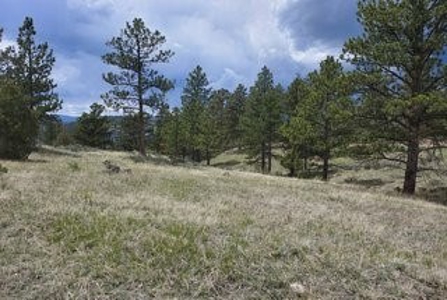 Dream Mountain Property - image 2
