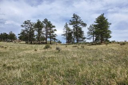 Dream Mountain Property - image 3