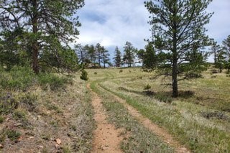 Dream Mountain Property - image 4