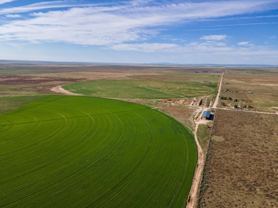 Torrance County, Central New Mexico 478.3 Acres! - image 7