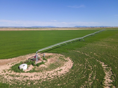 Torrance County, Central New Mexico 478.3 Acres! - image 4