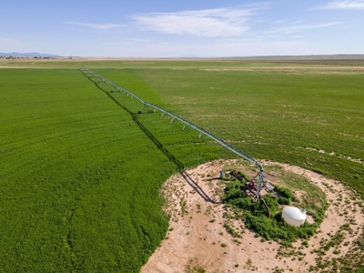 Torrance County, Central New Mexico 478.3 Acres! - image 6