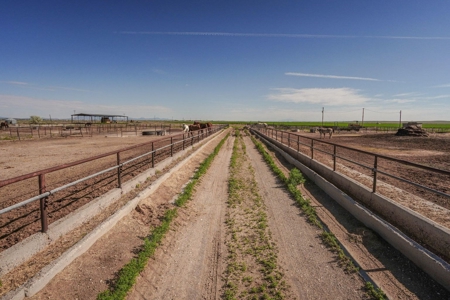 Torrance County, Central New Mexico 478.3 Acres! - image 15