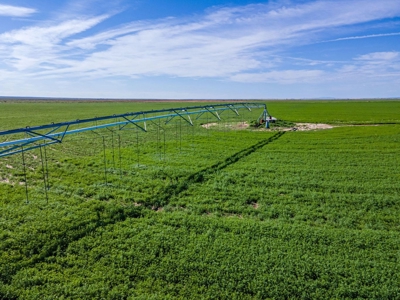 Torrance County, Central New Mexico 478.3 Acres! - image 2