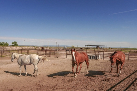 Torrance County, Central New Mexico 478.3 Acres! - image 16