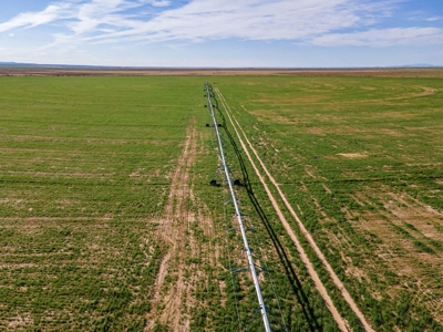 Torrance County, Central New Mexico 478.3 Acres! - image 21