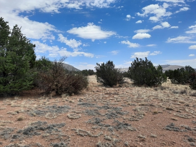 Gorgeous Views - image 7