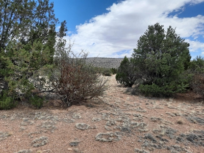 Gorgeous Views - image 6