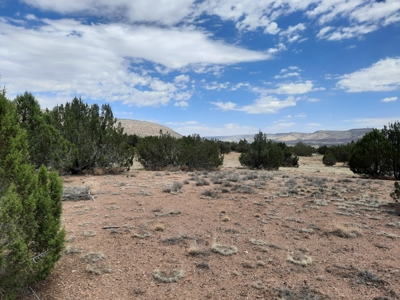 Gorgeous Views - image 8