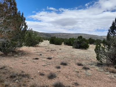 Gorgeous Views - image 1