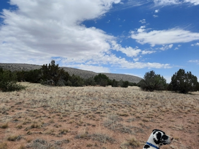 Gorgeous Views - image 4