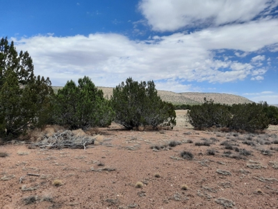 Gorgeous Views - image 9