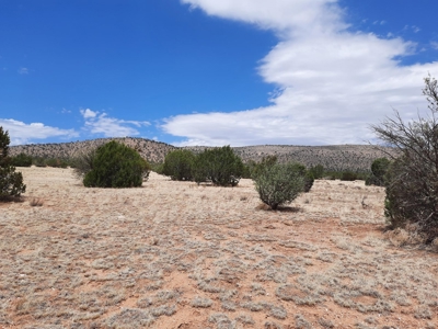 Gorgeous Views - image 8