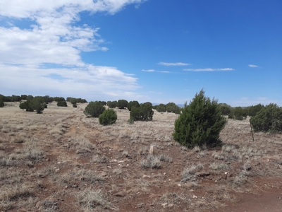 360 Views - image 9