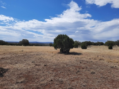 360 Views - image 4