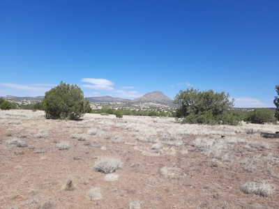 360 Views - image 8