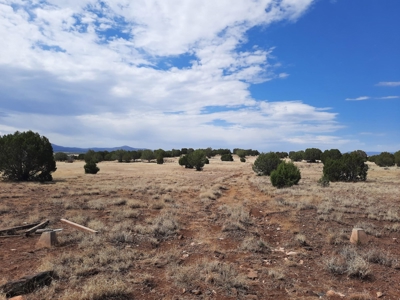 360 Views - image 10