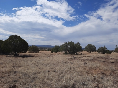 360 Views - image 6