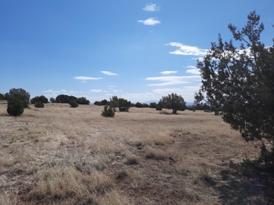 360 Views - image 2
