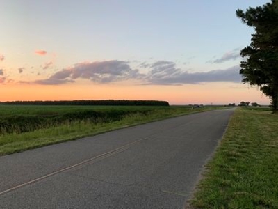 Rural Real Estate for sale in Beaufort Co., near Pantego, NC - image 9
