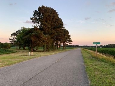 Rural Real Estate for sale in Beaufort Co., near Pantego, NC - image 3