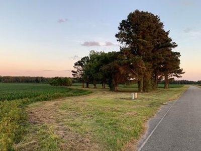 Rural Real Estate for sale in Beaufort Co., near Pantego, NC - image 1
