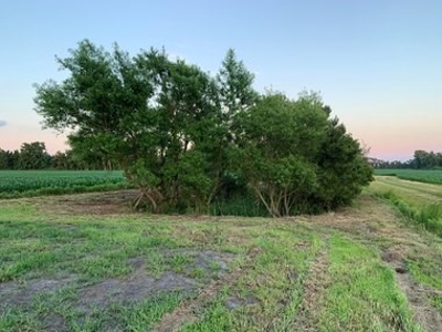 Rural Real Estate for sale in Beaufort Co., near Pantego, NC - image 11